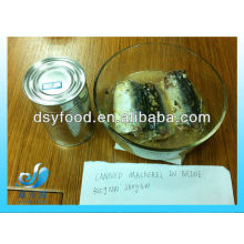 FROZEN CANNED MACKEREL IN BRINE